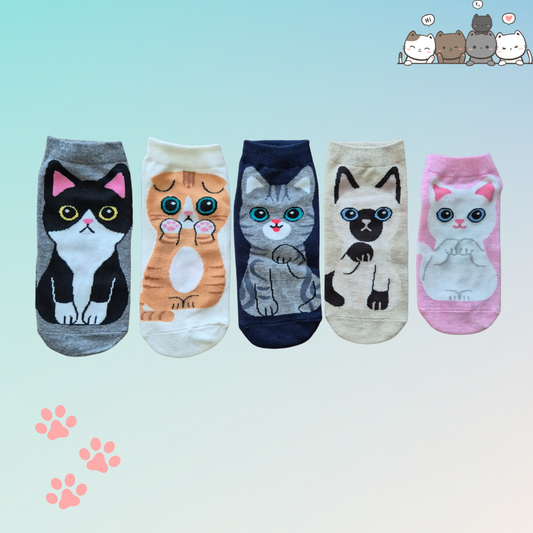 Kitty's